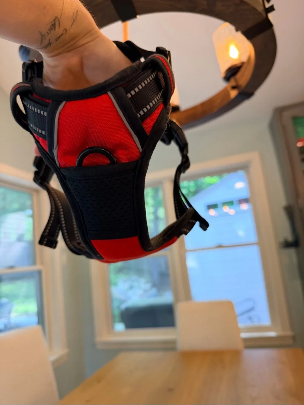 Barkbay Red & Black Padded Dog Harness - Medium